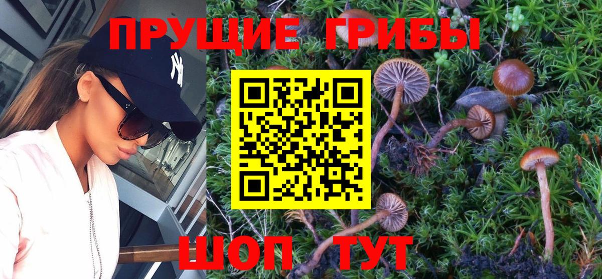 Псилоцибиновые грибы ЛСД Геленджик